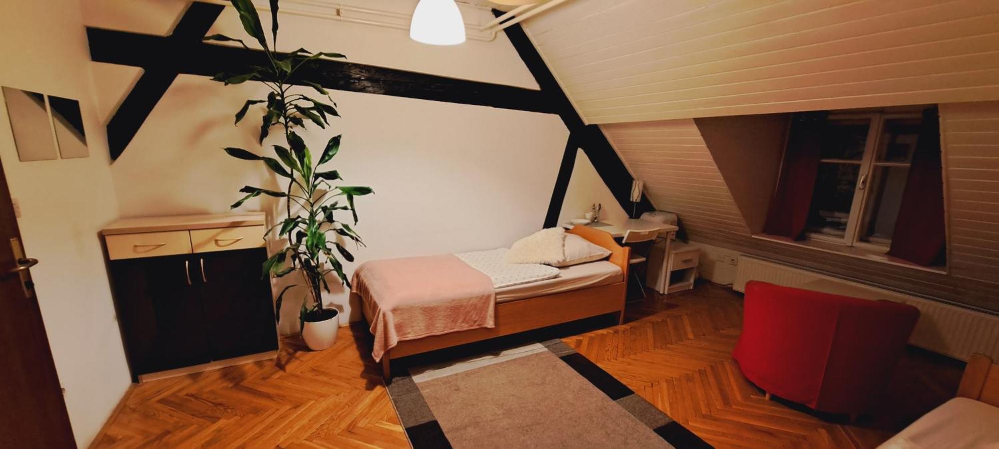 לובליאנה Viksi Hostel חדר תמונה